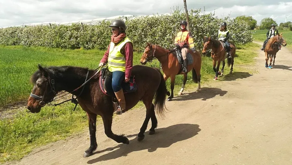 Randonnée équestre