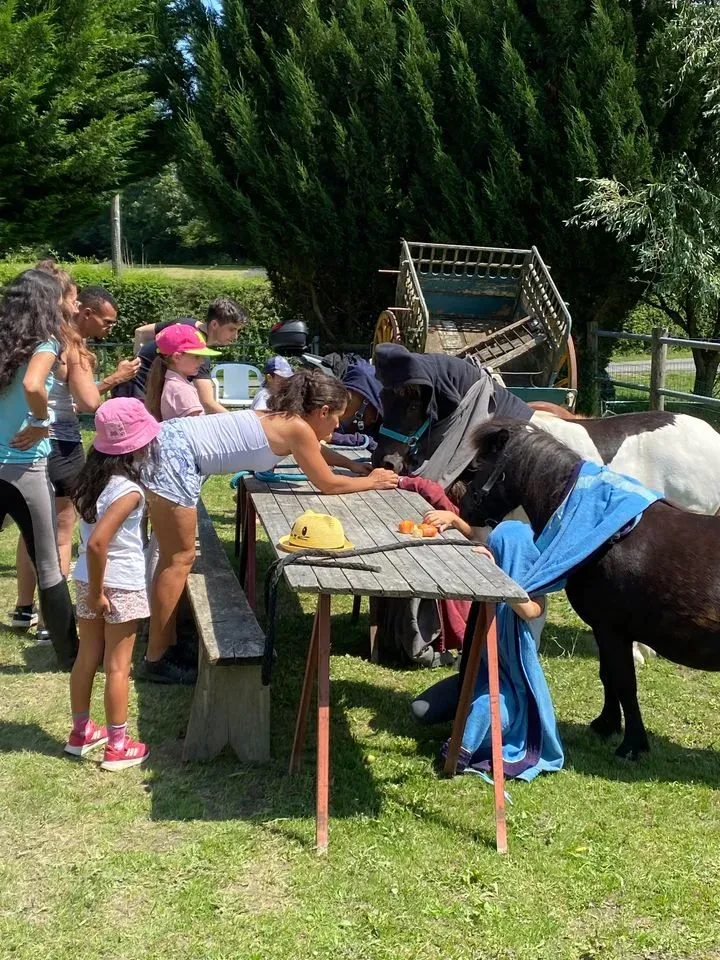 activites au centre equestre (2)