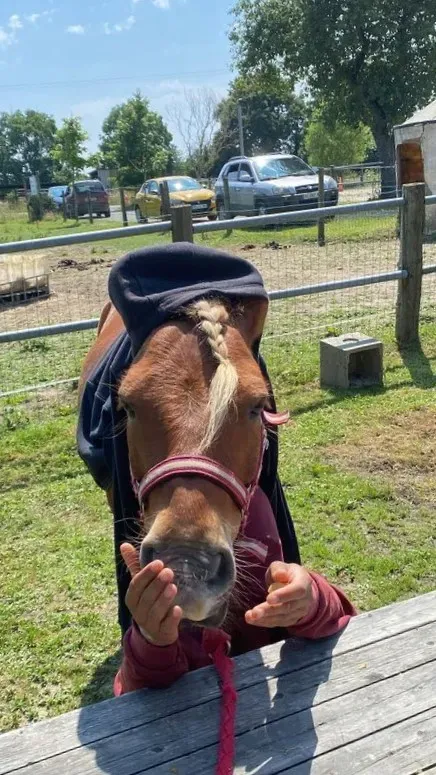 activites au centre equestre (3)