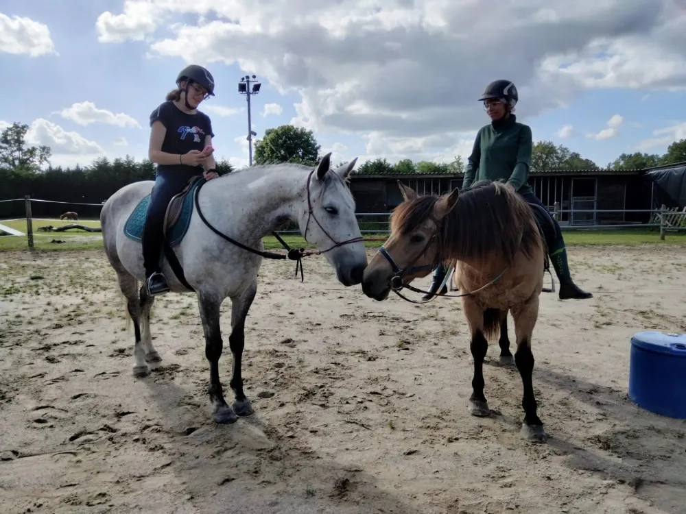 cours d equitation (5)