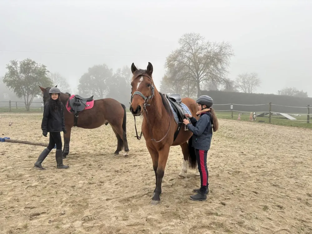 cours d equitation (6)