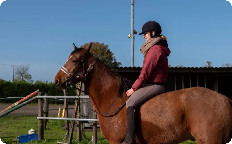 Le cheval en toute confiance