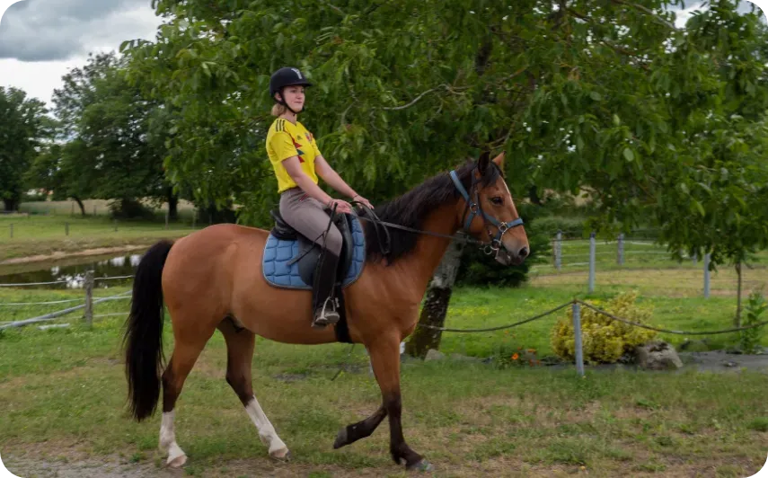Positionnement à cheval