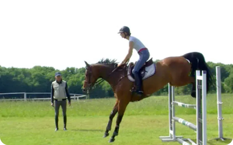 Fonctionnement du cavalier à l'obstacle